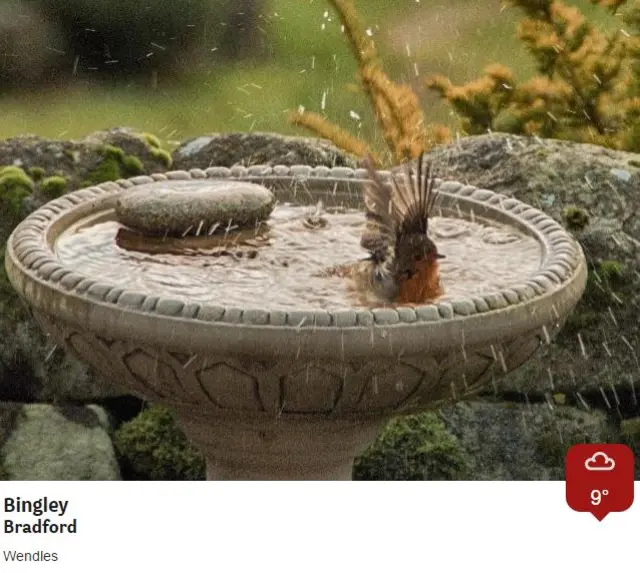 Bradford bird bath