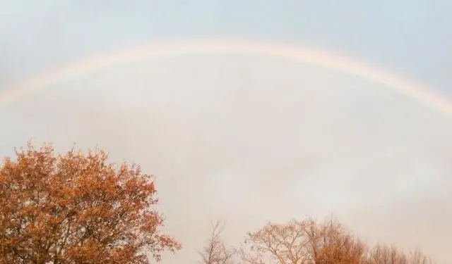 Rainbow