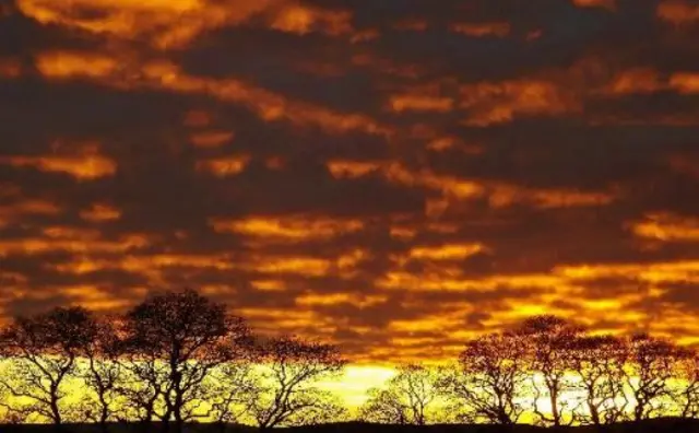 Bolton Bridge sunset