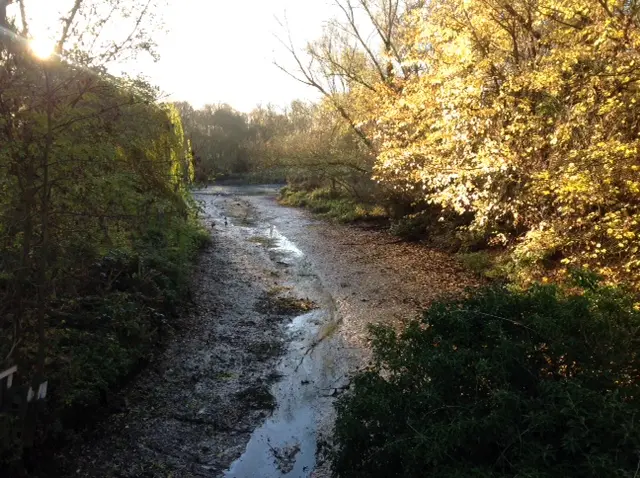 Stour river bed