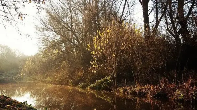 A frosty morning on Cauldon canal