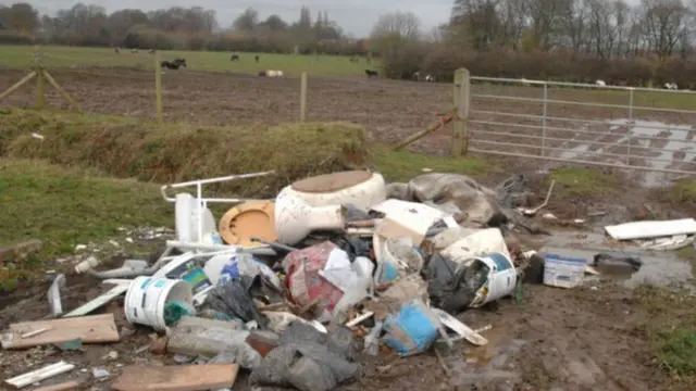 Fly-tipped horse