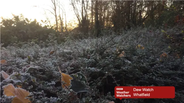 Frost in Whatfield