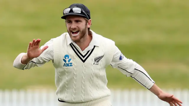 Kane Williamson celebrates a New Zealand wicket