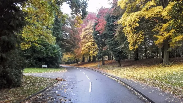 West Drive in Cheddleton