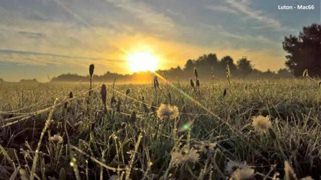 sun rises over field