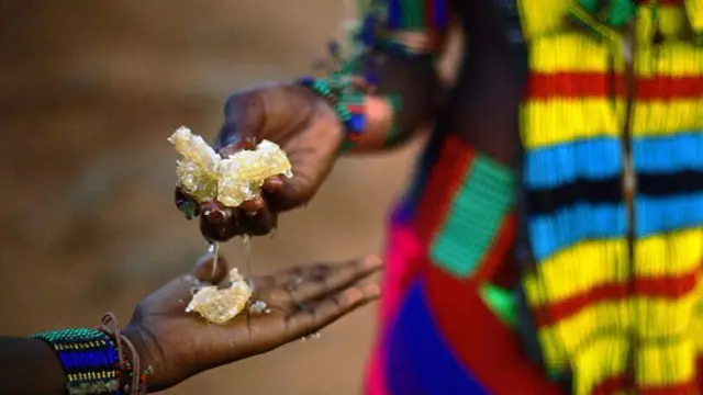 Woman holds hands over honeycomb