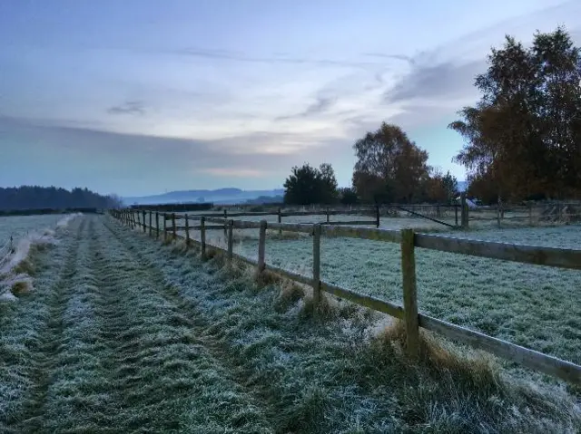 Frozen field