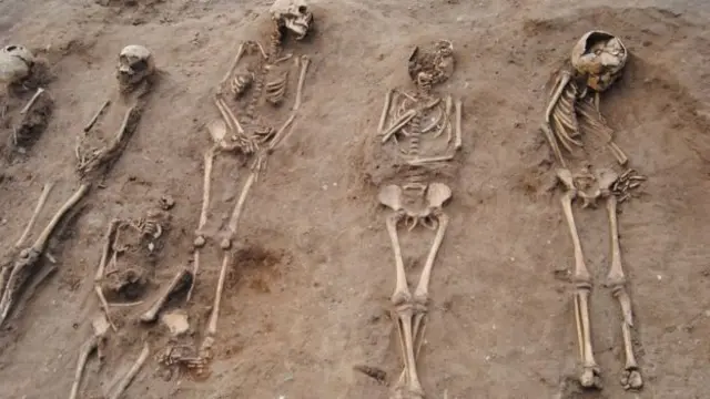 The skeletons of Black Death victims