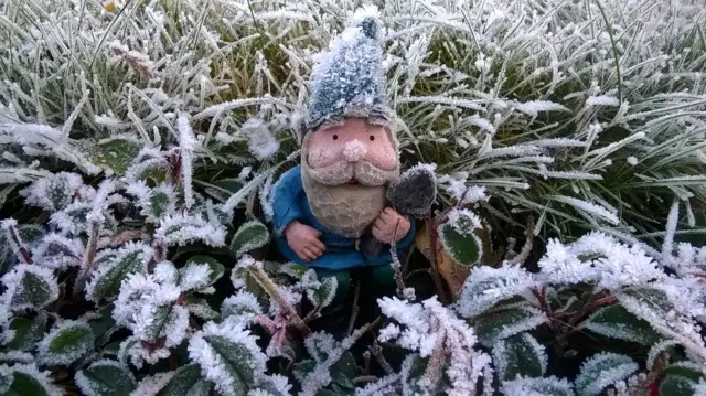 Frostbitten gnome