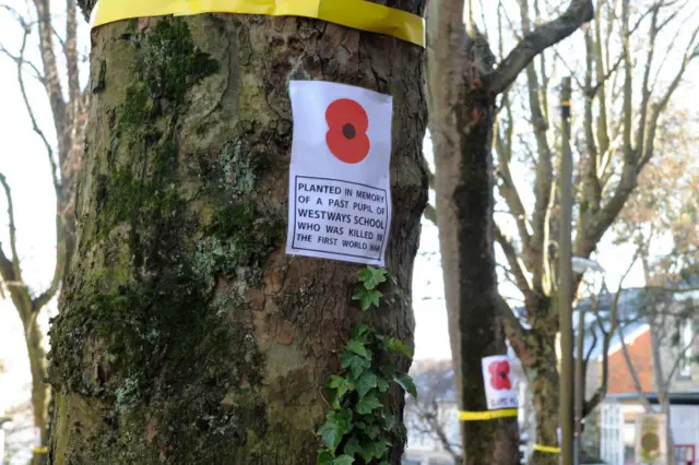 Sign with poppy on tree