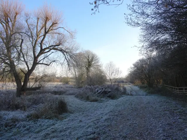 Frosty Linton scene