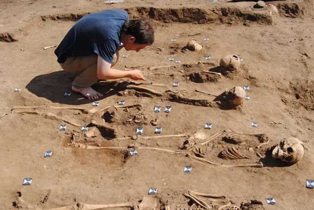 Uncovered skeletons in ground