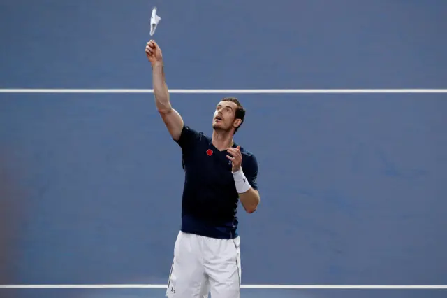 Murray celebrates