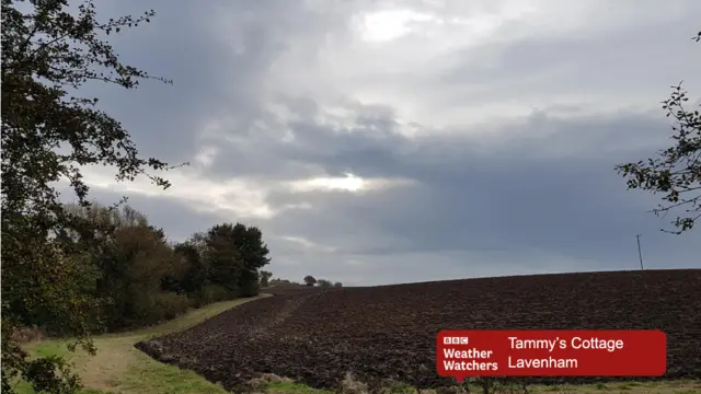 Lavenham field