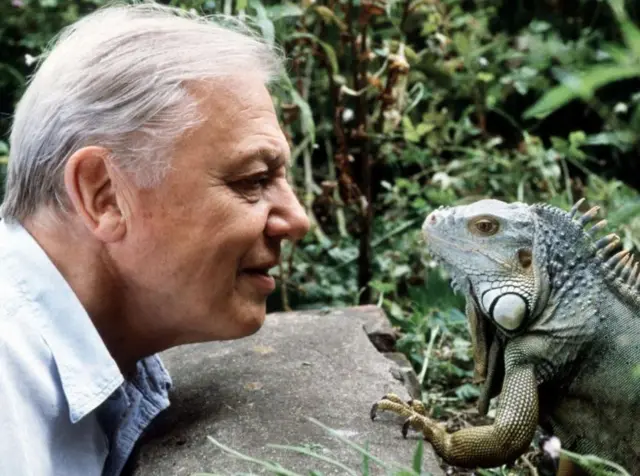 David Attenborough and a lizard