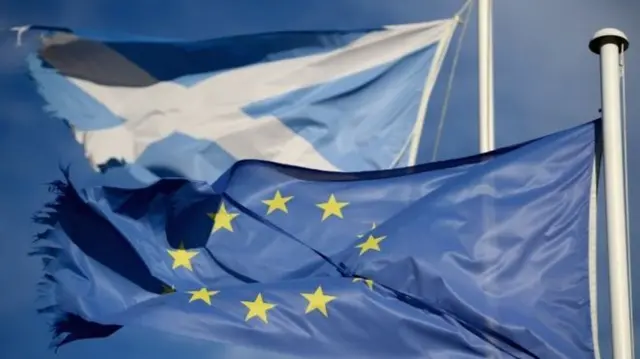 EU flag and Saltire