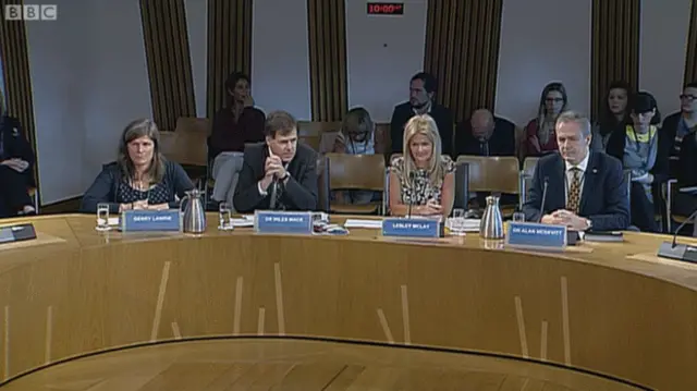 Members of Scotland's medical profession give evidence to Holyrood's health committee