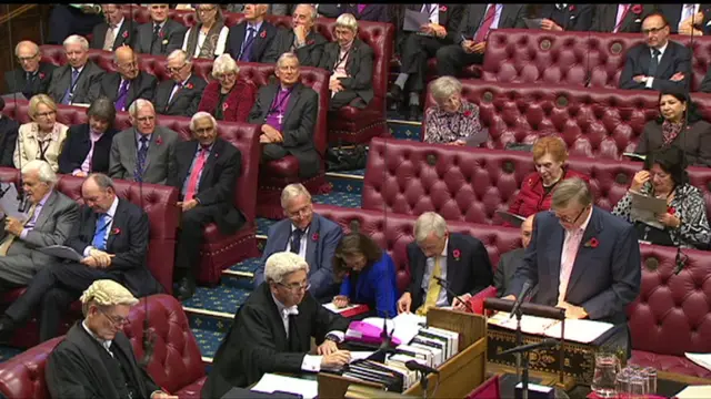 Lord Nash in the House of Lords