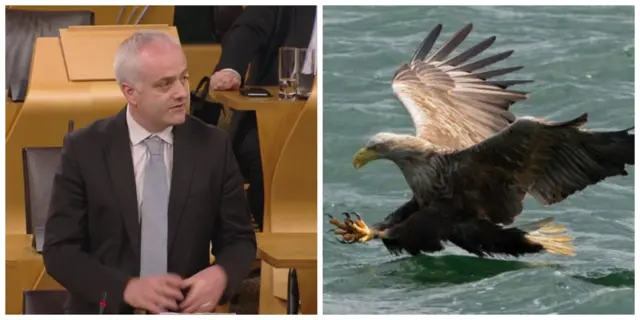 Green MSP Mark Ruskell and white-tailed eagle