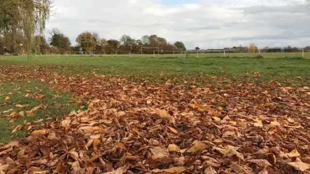 Weldon green space