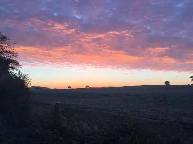 Frosty field