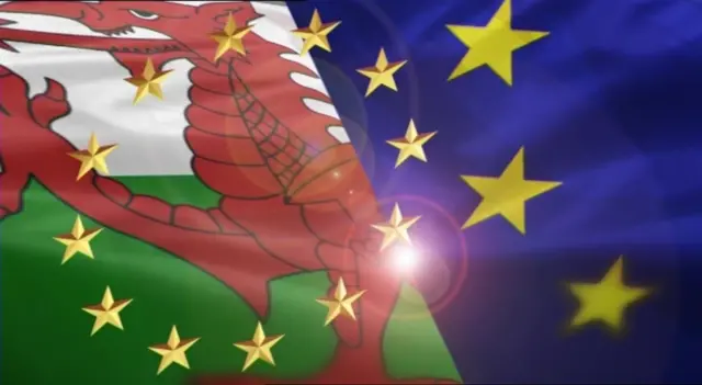 Welsh flag and EU flag