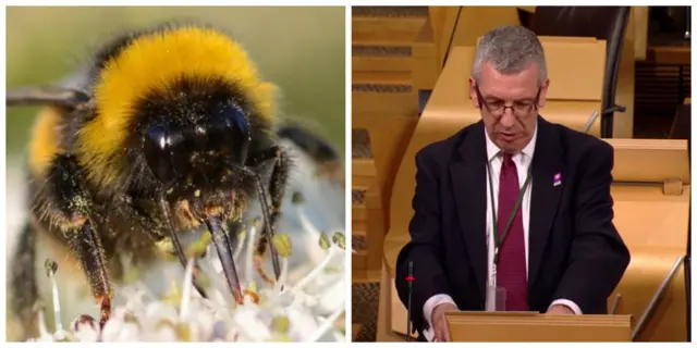 Great Yellow Bumblebee champion David Stewart