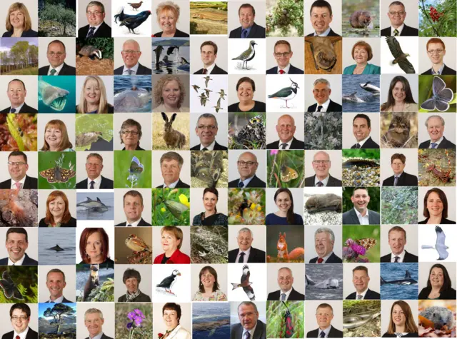 Scottish Environment Link Species Champion