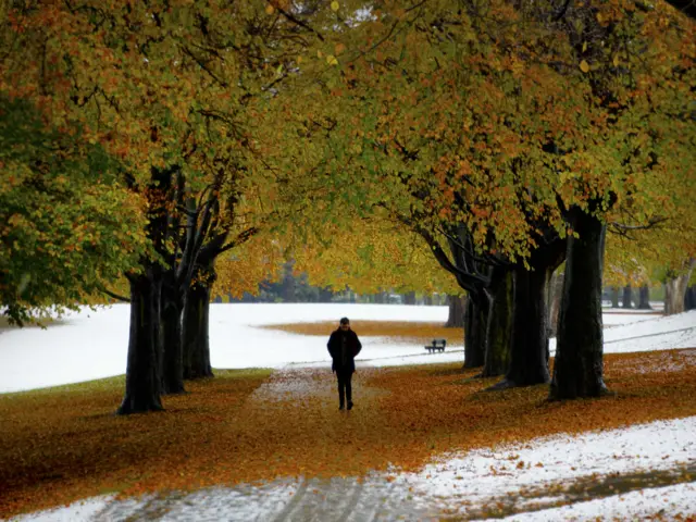 Snow in Potternewton Park