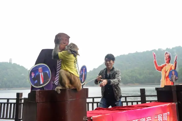 A monkey wearing a tee shirt with the characters "King of prediction" kisses a cardboard cutout of Donald Trump as it makes a choice between Hillary Clinton and Trump, during a game held by a tourist resort to "predict" the result of the U.S presidential election, in Changsha, Hunan Province, China, 3 November 2016.