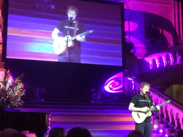 Ed Sheeran on steps of stage, with guitar