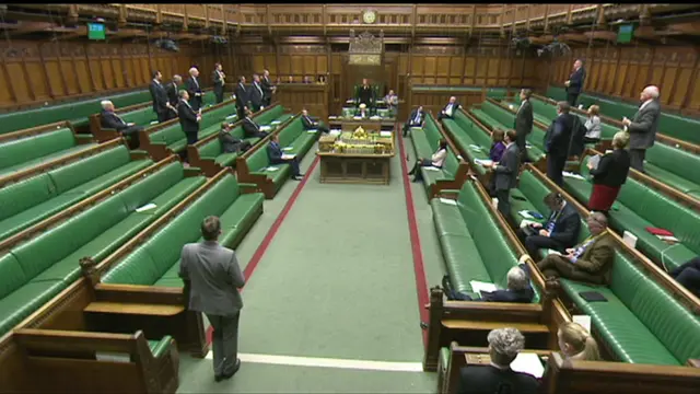 MPs stand to speak