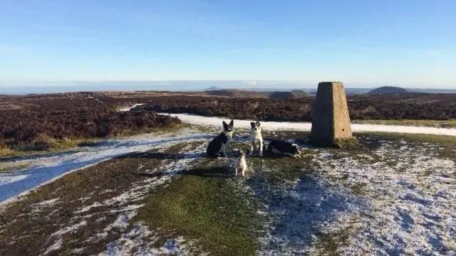 Hills over Ratlinghope