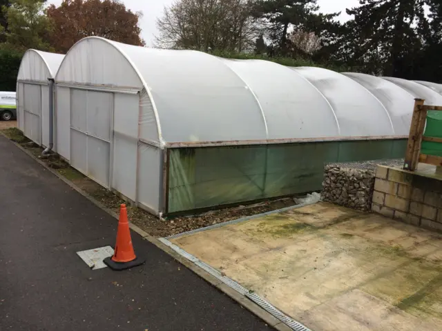 polytunnel