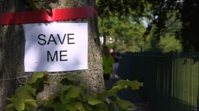 Save Me banner on tree