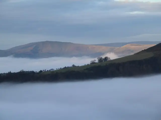 Hillside shrouded in mist