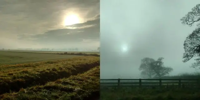 Misty Church Fenton