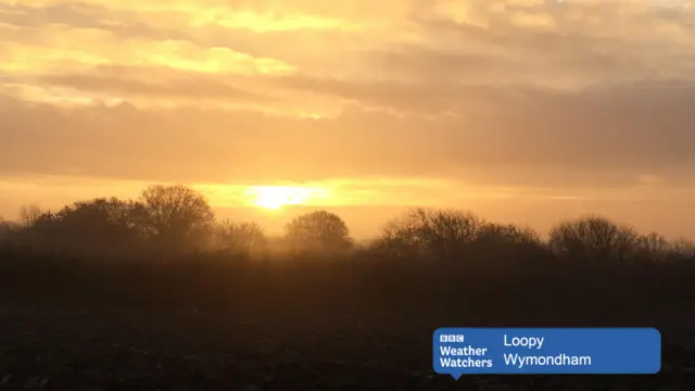 Sunrise over trees