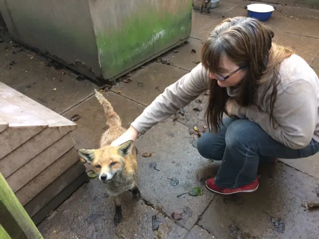 Ali and fox