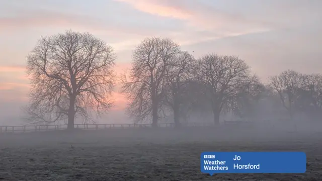 Sunrise, with mist and trees