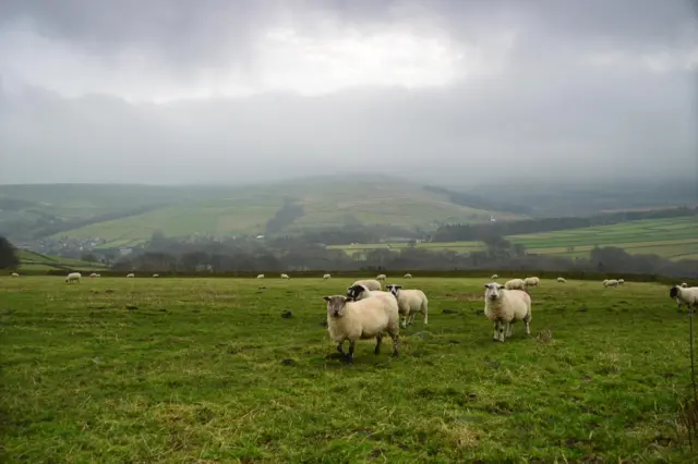 Holmfirth