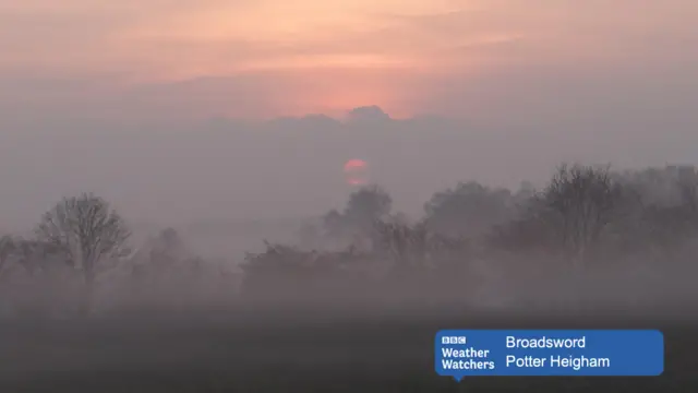 The sun seen through clouds, with mist and trees