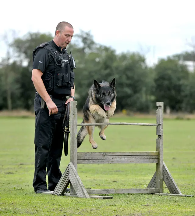 PD Kane and handler