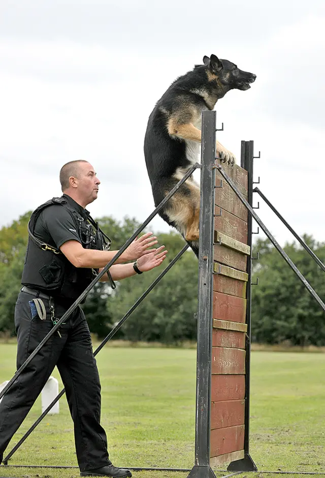 PD Kane and handler