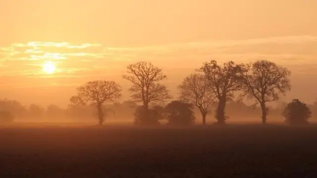 Sunrise over a misty field in Boxted