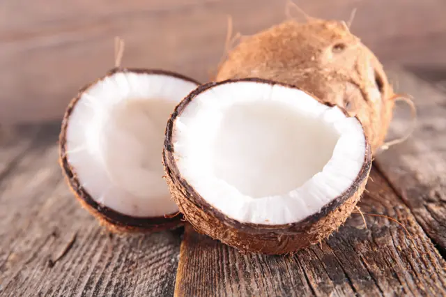 Coconut