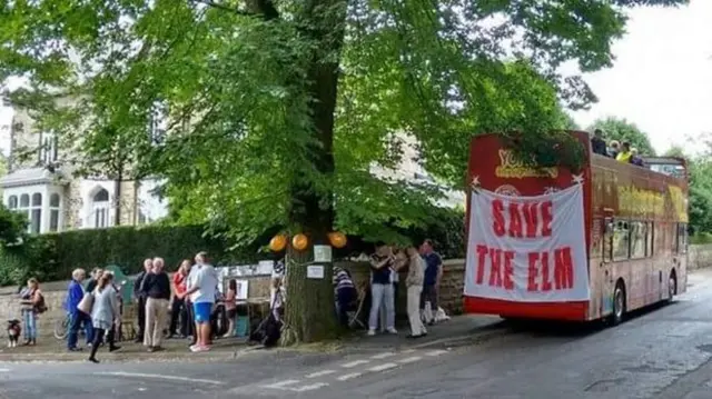 Elm Tree with banners and supporters