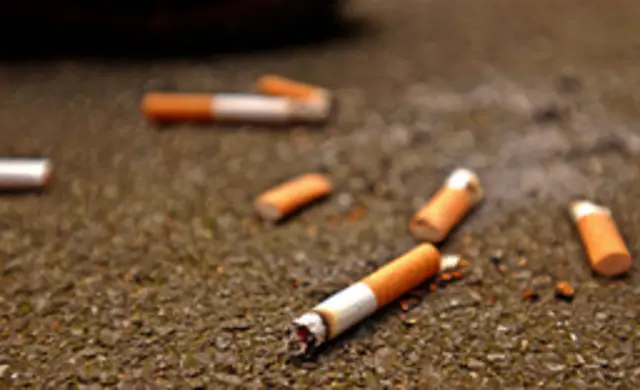 Discarded cigarette butts on the street