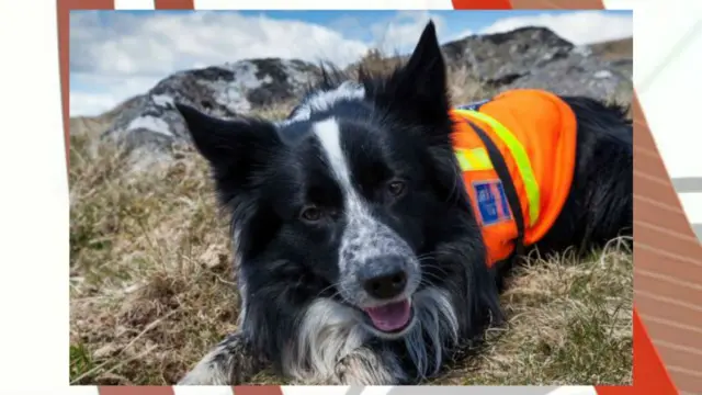 Blitz. Pic: Cornwall Search & Rescue Team